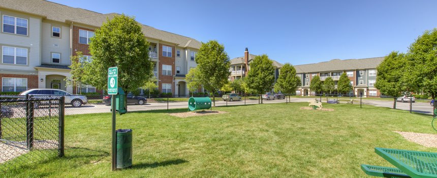 Picture of dog park in our Sylvania apartment community